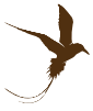 Cliff Hanger Bird Logo